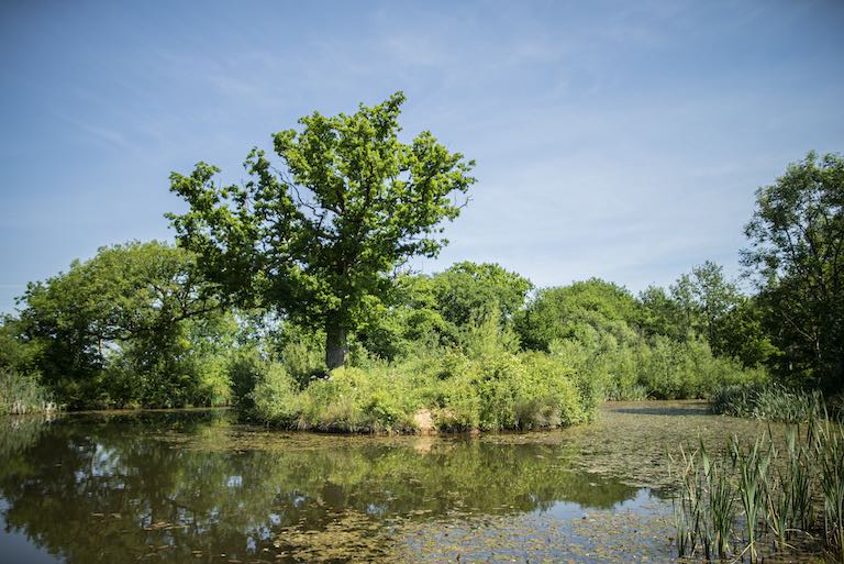 Our approach to Rewilding and landscape restoration
